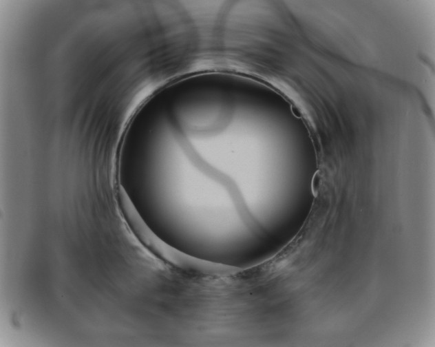 X0000097760815200803141721