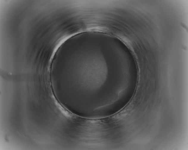 X0000097760816200803141721