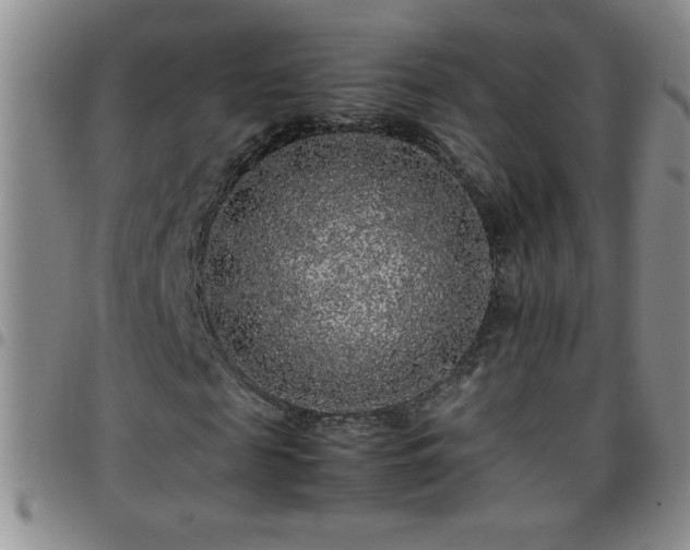 X0000097760817200803141721