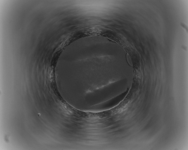 X0000097760818200803141721