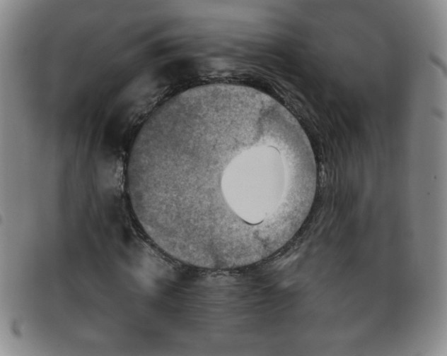 X0000097760820200803141721