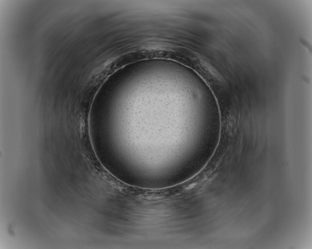 X0000097760821200803141721