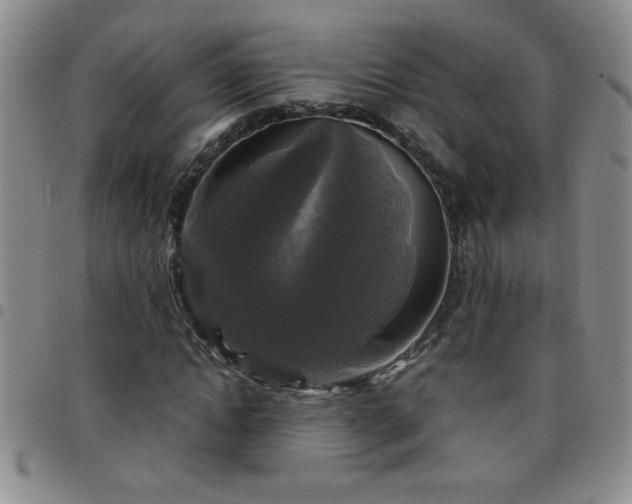 X0000097760822200803141721