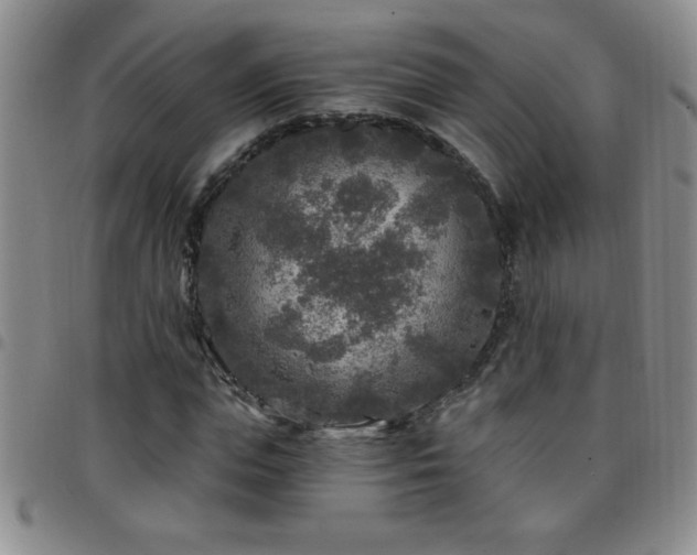 X0000097760823200803141721