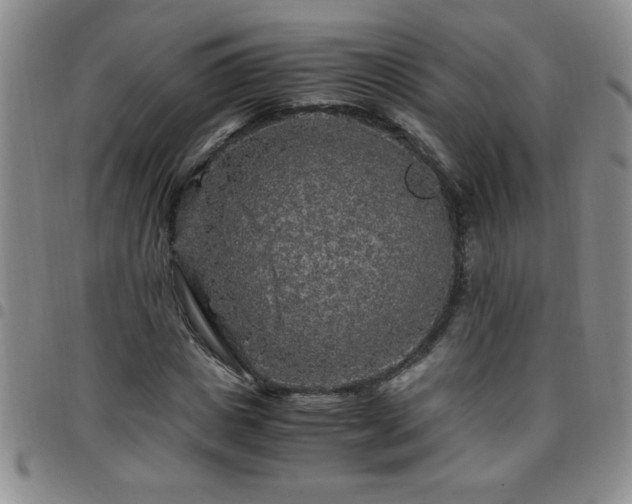 X0000097760825200803141721