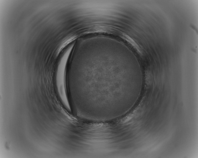 X0000097760826200803141721