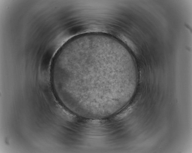 X0000097760828200803141721