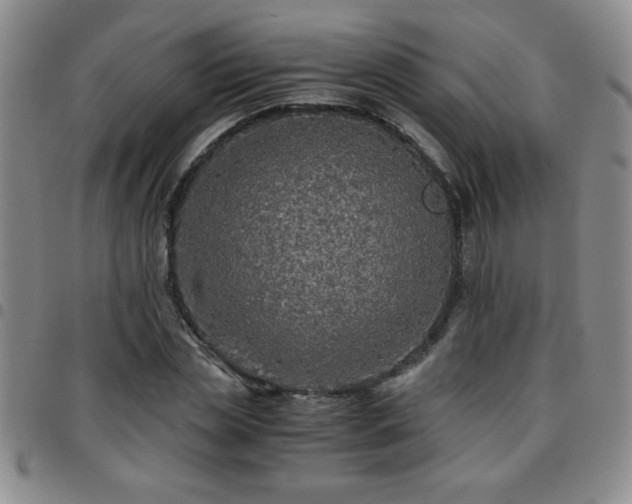 X0000097760829200803141721