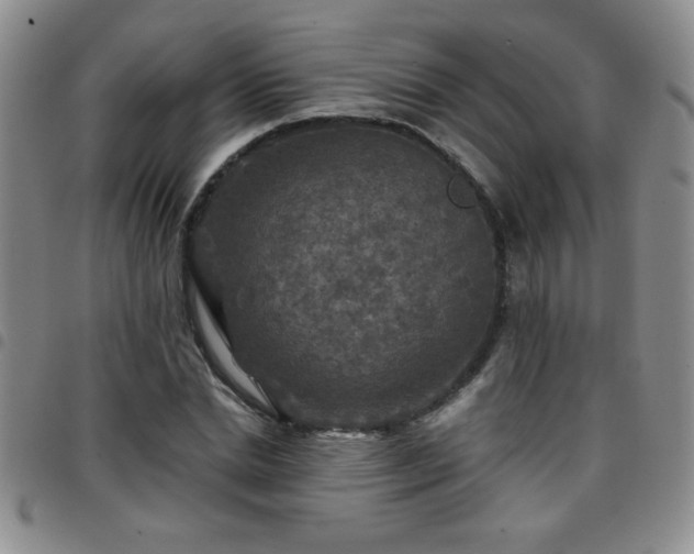 X0000097760830200803141721