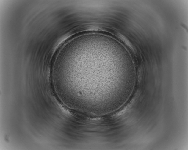 X0000097760831200803141721