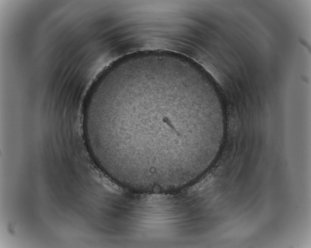 X0000097760832200803141721