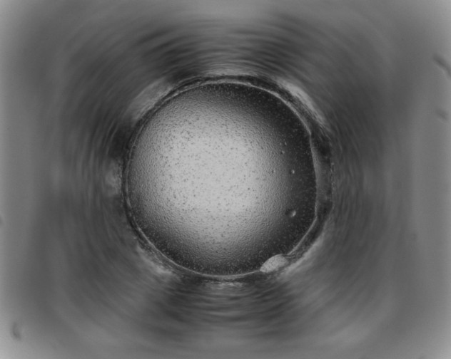 X0000097760833200803141721