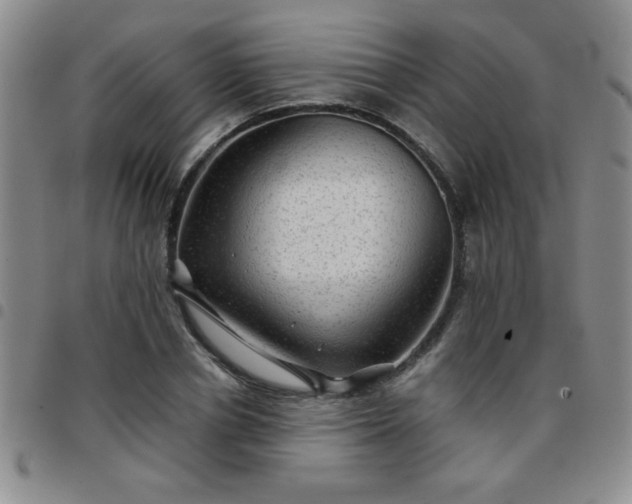 X0000097760834200803141721