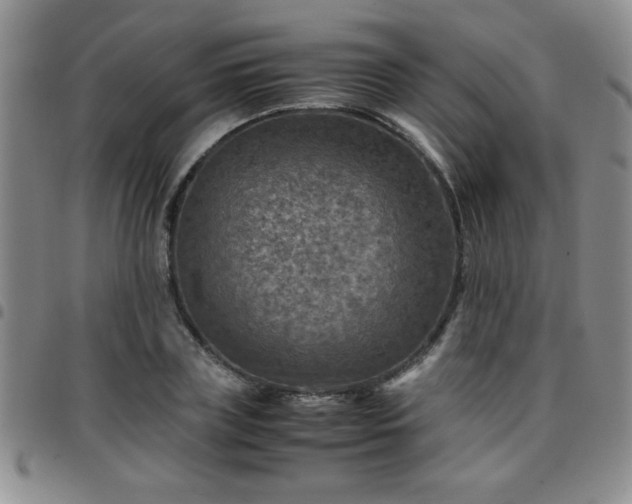 X0000097760835200803141721