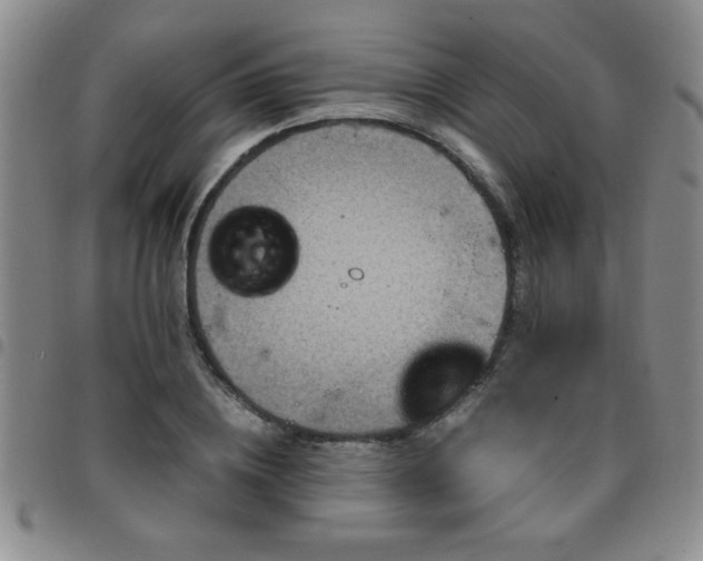 X0000097760836200803141721