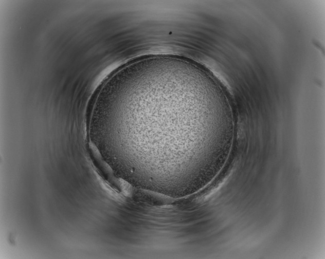 X0000097760837200803141721