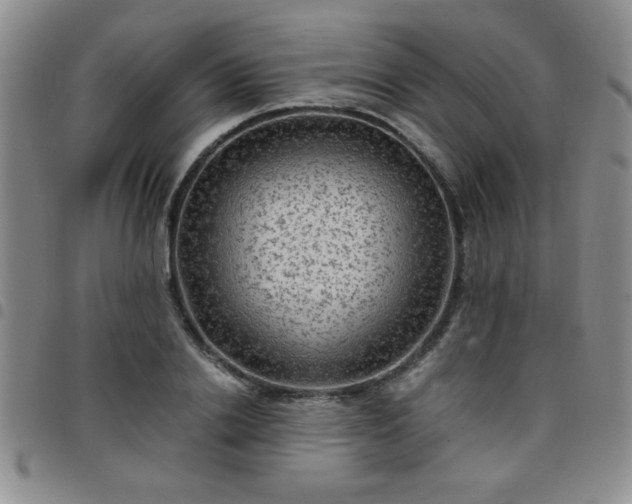 X0000097760838200803141721