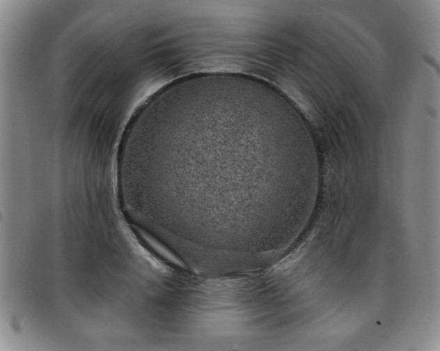 X0000097760840200803141721