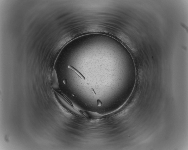 X0000097760841200803141721