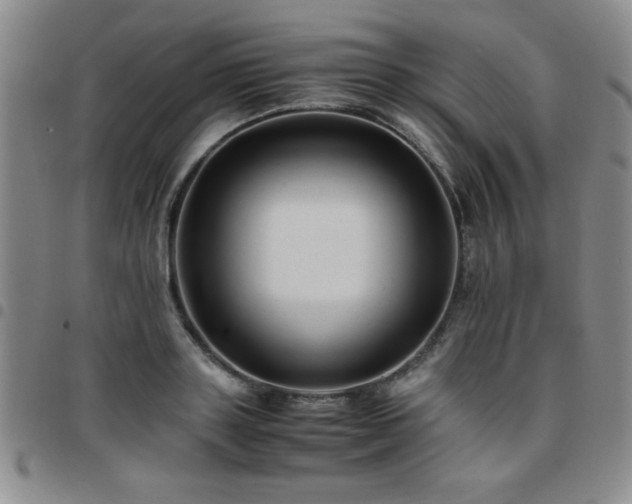 X0000097760843200803141721