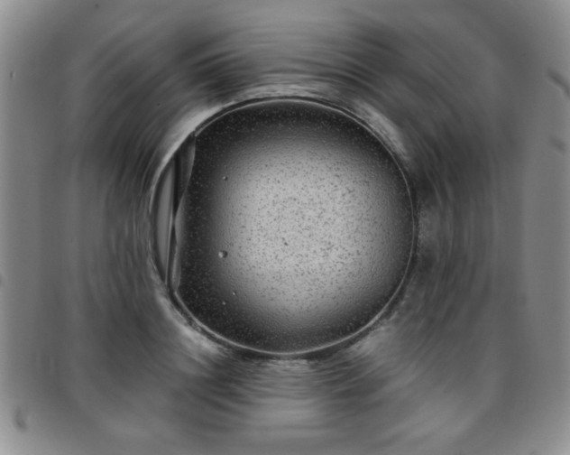 X0000097760844200803141721