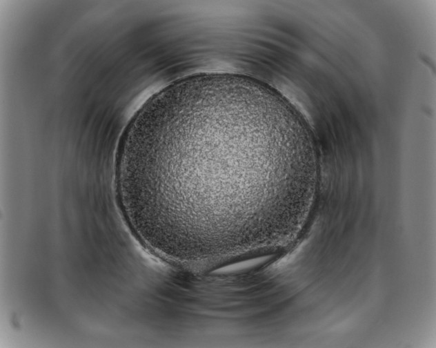 X0000097760845200803141721