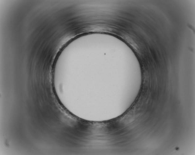 X0000097760848200803141721