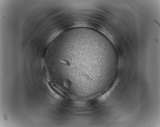 X0000097760849200803141721