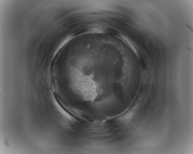 X0000097760851200803141721