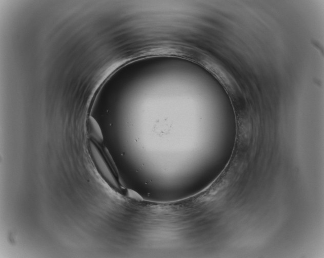 X0000097760852200803141721