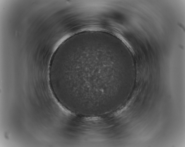 X0000097760853200803141721