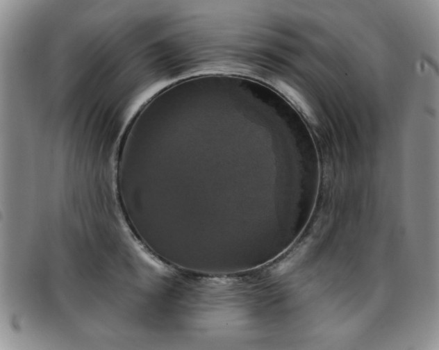 X0000097760854200803141721