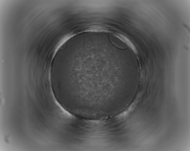 X0000097760855200803141721