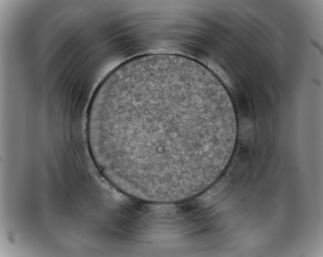 X0000097760856200803141721