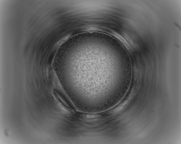 X0000097760857200803141721