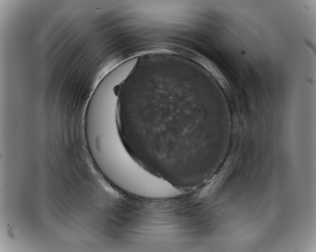 X0000097760858200803141721