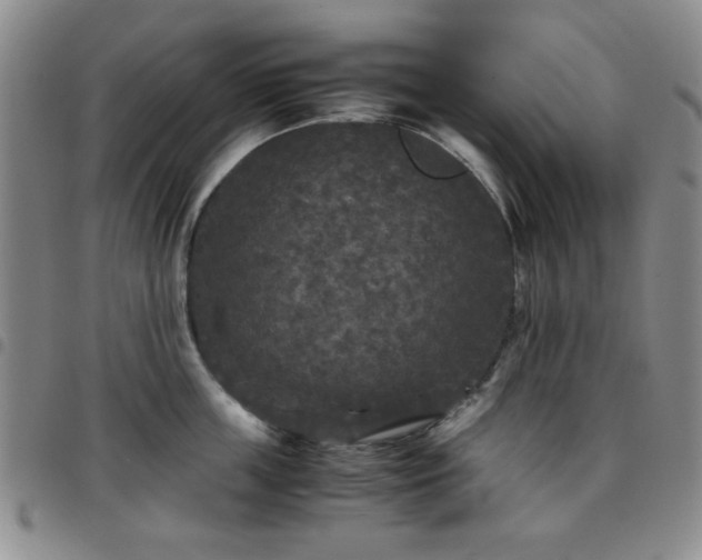 X0000097760859200803141721