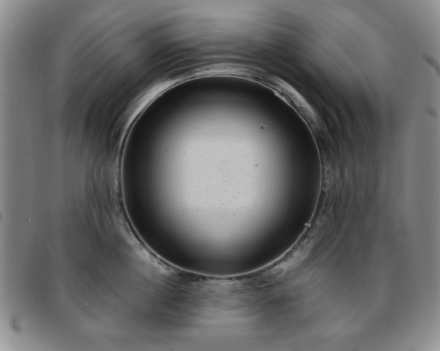 X0000097760860200803141721