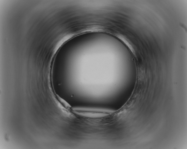 X0000097760861200803141721