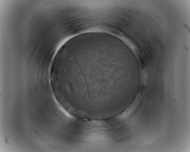 X0000097760862200803141721