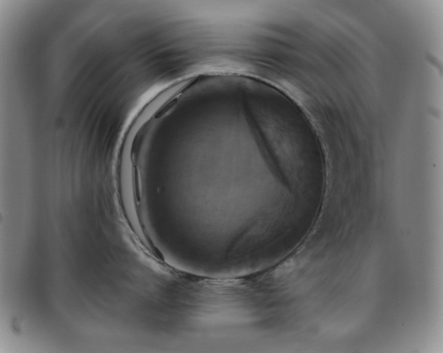 X0000097760864200803141721