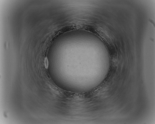 X0000097760865200803141721