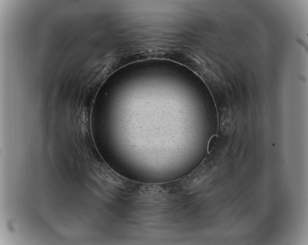 X0000097760866200803141721