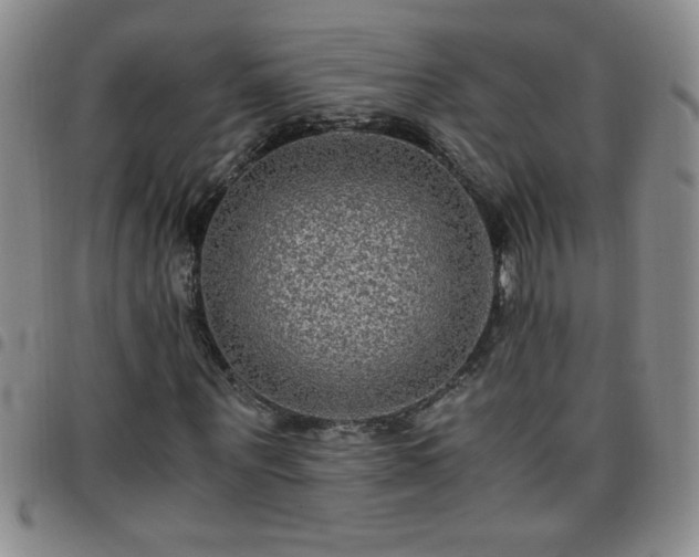 X0000097760867200803141721