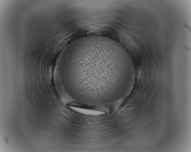 X0000097760868200803141721