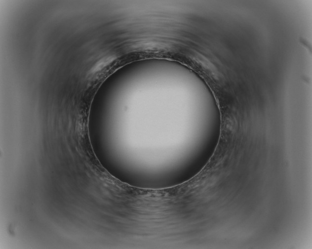 X0000097760869200803141721