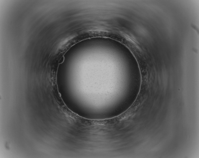 X0000097760870200803141721