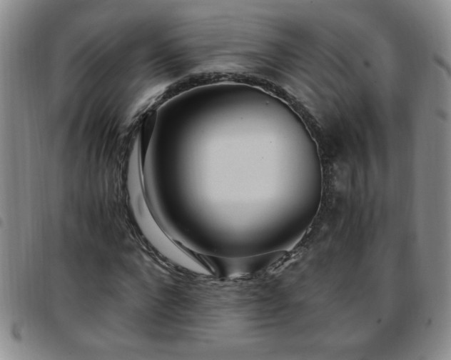 X0000097760872200803141721