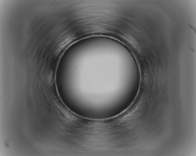 X0000097760873200803141721