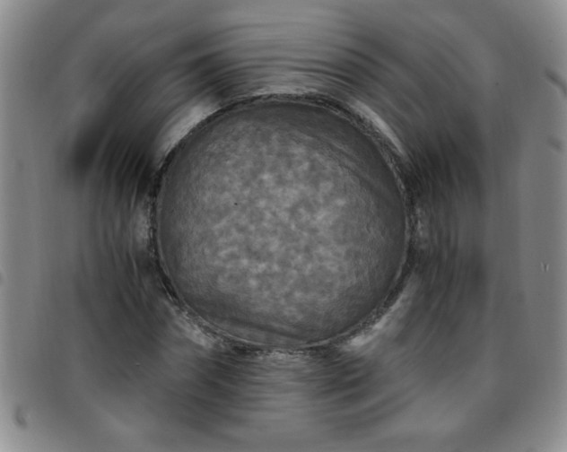 X0000097760874200803141721